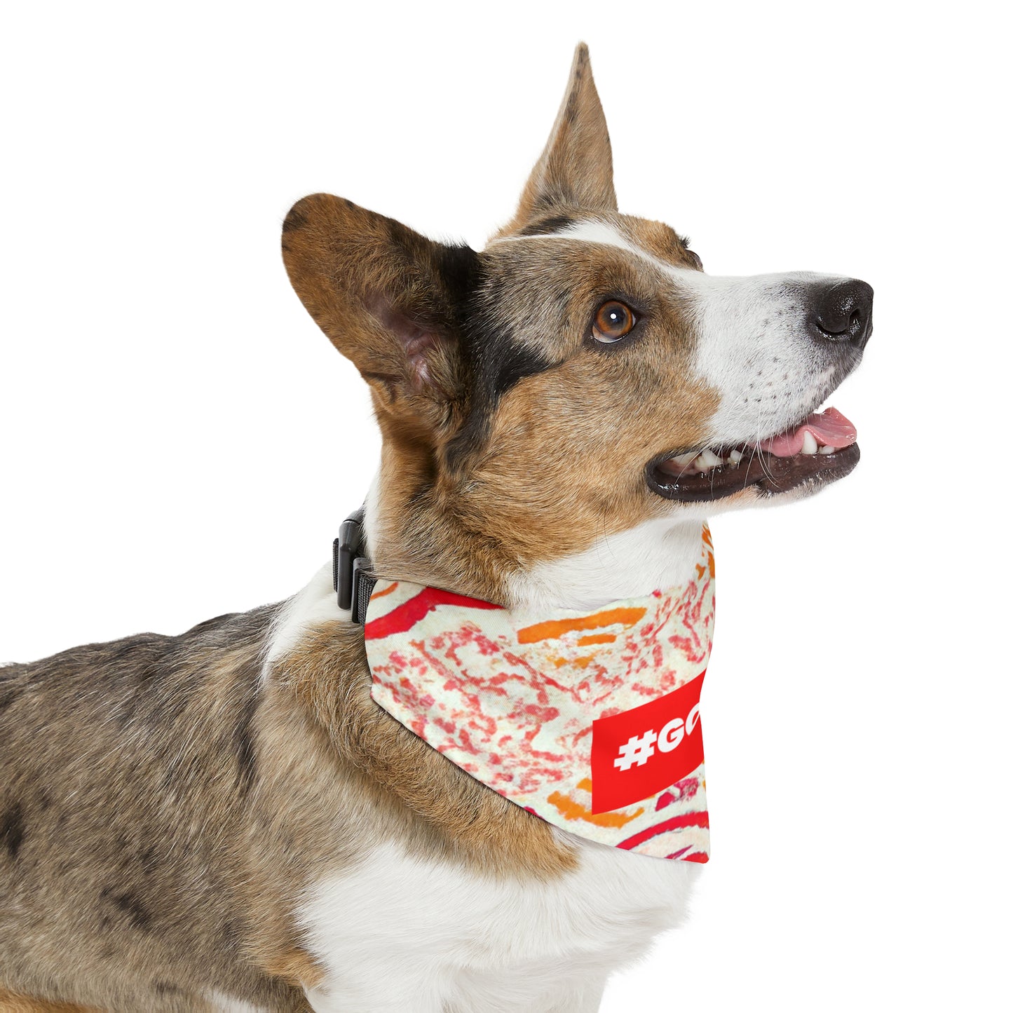 Aurelia Millar - Pet Bandana Collar